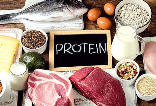 protein 1